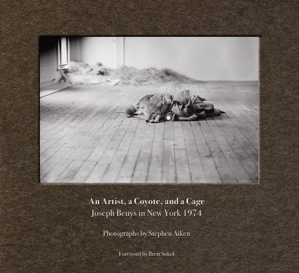 Produktbild: Stephen Aiken: An Artist, a Coyote, and a Cage