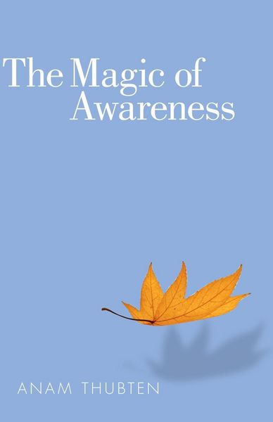 Produktbild: The Magic of Awareness