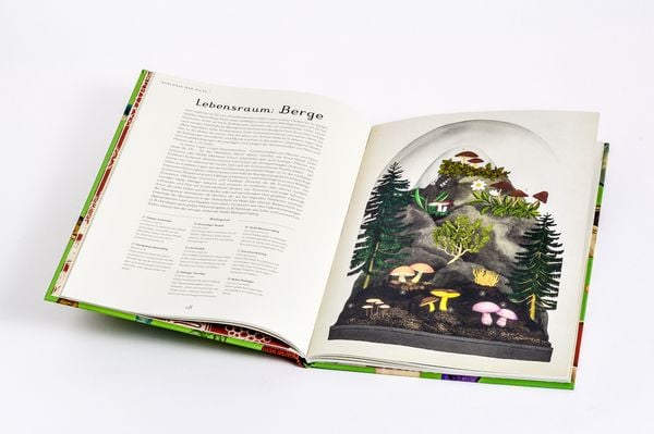 Produktbild: Das Museum der Pilze