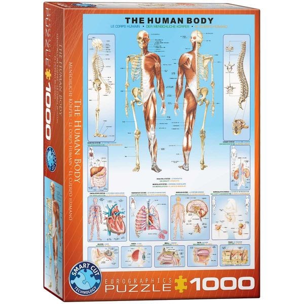 Eurographics 6000-1000 - Der menschliche Körper , Puzzle, 1.000 Teile