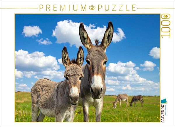 CALVENDO Puzzle Wir sind ganz Ohr - Eselstute und Fohlen | 1000 Teile Lege-Größe 64x48cm Foto-Puzzle für glückliche Stunden