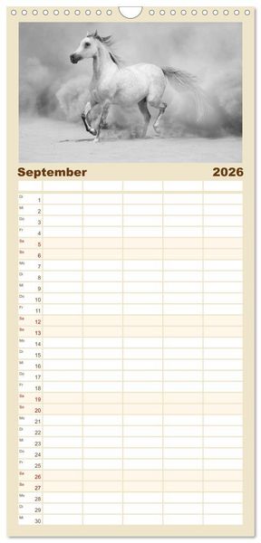 Produktbild: Familienplaner 2026 - Arabische Pferde mit 5 Spalten (Wandkalender, 21 x 45 cm) CALVENDO