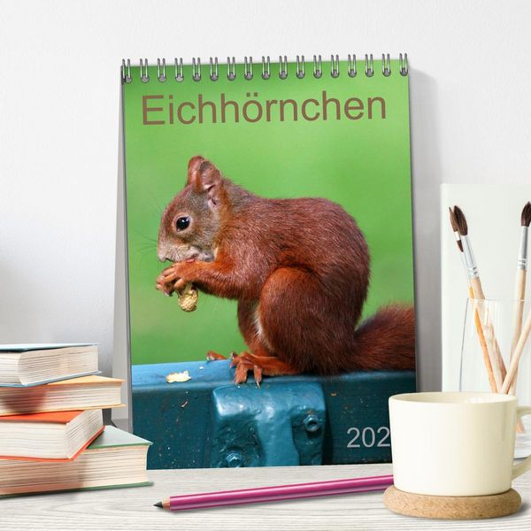Produktbild: Eichh&ouml;rnchen (Tischkalender 2026 DIN A5 hoch), CALVENDO Monatskalender