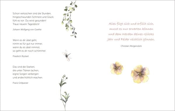 Produktbild: Die sch&ouml;nsten Blumen bl&uuml;hen f&uuml;r die, die sie sehen