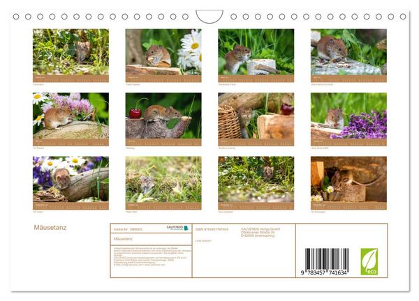 Produktbild: M&auml;usetanz (Wandkalender 2026 DIN A4 quer), CALVENDO Monatskalender