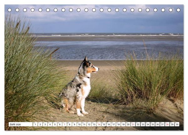 Produktbild: Ouddorp - Nordseeperle (Tischkalender 2026 DIN A5 quer), CALVENDO Monatskalender