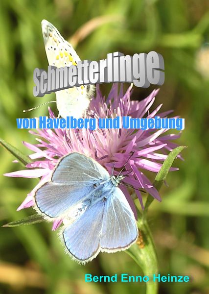 Produktbild: Schmetterlinge von Havelberg und Umgebung