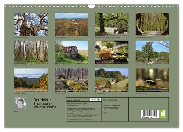 Produktbild: Der Hainich in Th&uuml;ringen - Weltnaturerbe (Wandkalender 2026 DIN A3 quer), CALVENDO Monatskalender