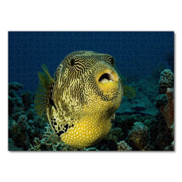 Produktbild: Lais Puzzle Kugelfisch 500 Teile