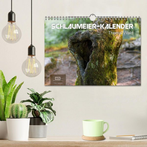 Produktbild: Schlaumeier-Kalender - Thema: Wald (Wandkalender 2026 DIN A4 quer), CALVENDO Monatskalender