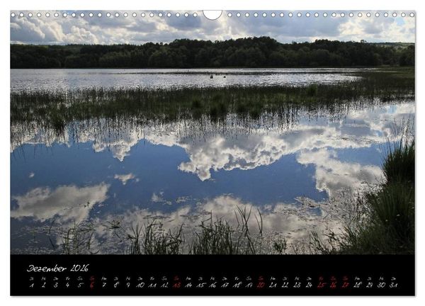 Produktbild: Broc&eacute;liande / Zauberwald der Bretagne (Wandkalender 2026 DIN A3 quer), CALVENDO Monatskalender
