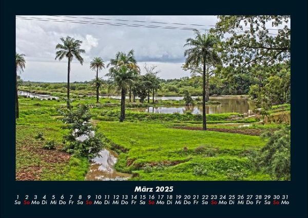Produktbild: Palmentraum 2025 Fotokalender DIN A4