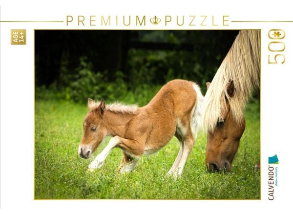 CALVENDO Puzzle Ein Motiv aus dem Kalender Ponys, die starken Persönlichkeiten | 500 Teile Lege-Größe 48 × 36 cm Foto-Puzzle für Erwachsene