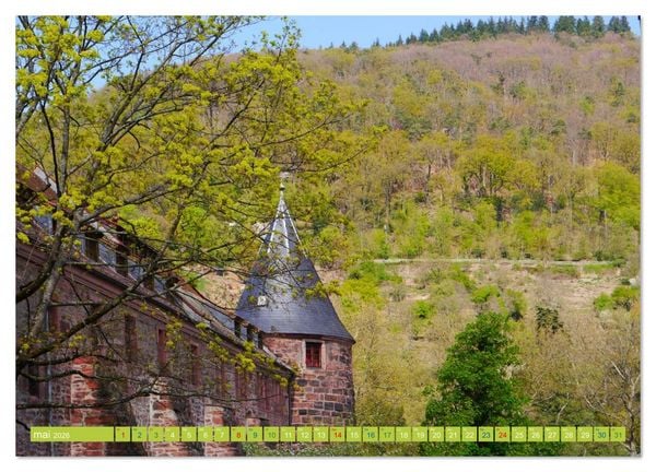Produktbild: Magnifique Heidelberg (Calendrier mural 2026 DIN A2 vertical) calendrier de bureau