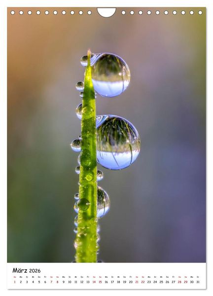 Produktbild: Wasser - Wunderwelt der Tautropfen (Wandkalender 2026 DIN A4 hoch), CALVENDO Monatskalender