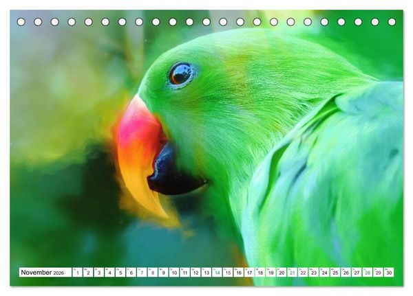 Produktbild: Papageien und Sittiche - Kunstbilder (Tischkalender 2026 DIN A5 quer), CALVENDO Monatskalender