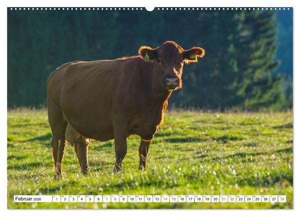 Produktbild: Ein Herz f&uuml;r Rinder (Wandkalender 2026 DIN A2 quer), CALVENDO Monatskalender