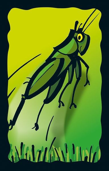 Produktbild: Drei Magier - Schummel Hummel