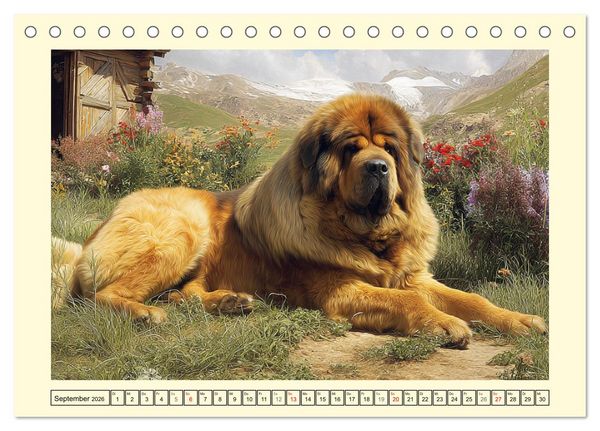 Produktbild: Tibet Mastiffs. Stolze Seelen im Wind der Berge (Tischkalender 2026 DIN A5 quer), CALVENDO Monatskalender