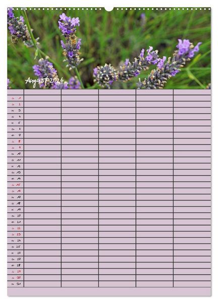 Produktbild: Naturzauber Lavendel - Familienplaner (hochwertiger Premium Wandkalender 2026 DIN A2 hoch), Kunstdruck in Hochglanz