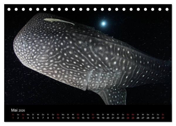 Produktbild: Magische Unterwasserwelten (Tischkalender 2026 DIN A5 quer), CALVENDO Monatskalender