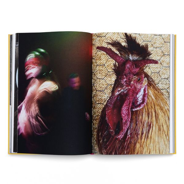 Produktbild: Sandra Knecht. Home Is a Foreign Place