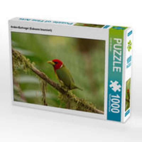 CALVENDO Puzzle Anden-Bartvogel (Eubucco bourcierii) 1000 Teile Lege-Größe 64 x 48 cm Foto-Puzzle Bild von Armin Brockner
