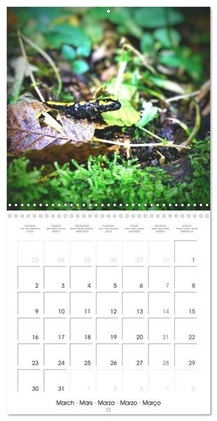 Produktbild: Blt, S: Esp&egrave;ces de Nouvelle Aquitaine (Calendrier mural carr