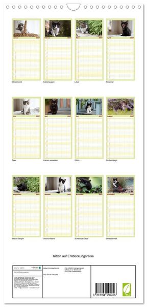 Produktbild: Familienplaner 2027 - Kitten auf Entdeckungsreise mit 5 Spalten (Wandkalender, 21 x 45 cm) CALVENDO