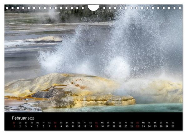 Produktbild: Traumziele in den USA. Der Yellowstone National Park (Wandkalender 2026 DIN A4 quer), CALVENDO Monatskalender
