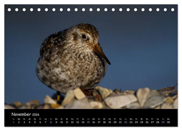 Produktbild: Spitzbergen (Tischkalender 2026 DIN A5 quer), CALVENDO Monatskalender