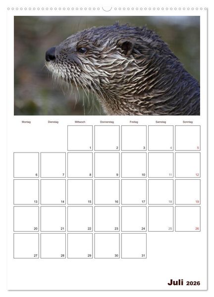 Produktbild: Der Fischotter-Terminplaner (Wandkalender 2026 DIN A2 hoch), CALVENDO Monatskalender