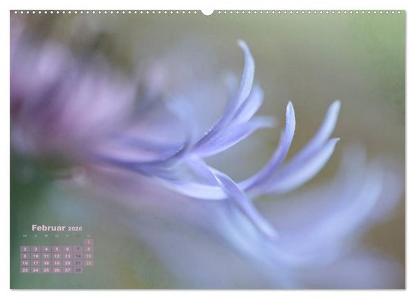 Produktbild: Zauberhafte Bl&uuml;ten (Wandkalender 2026 DIN A2 quer), CALVENDO Monatskalender