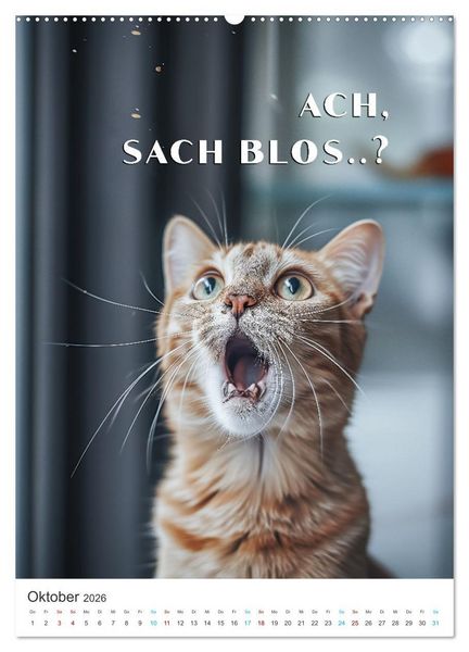 Produktbild: Lustige Tiere (hochwertiger Premium Wandkalender 2026 DIN A2 hoch), Kunstdruck in Hochglanz