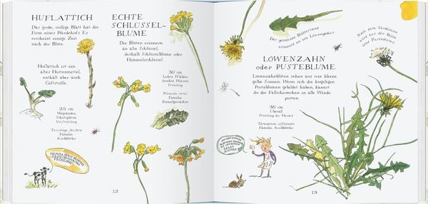 Produktbild: Veilchen, Mohn und G&auml;nsebl&uuml;mchen