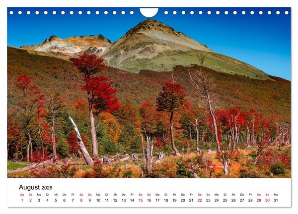 Produktbild: W&auml;lder: die letzte Zuflucht f&uuml;r die Wildnis (Wandkalender 2026 DIN A4 quer), CALVENDO Monatskalender