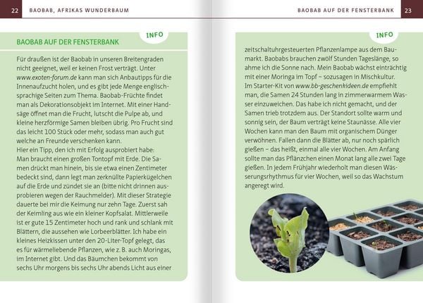 Produktbild: Baobab - Die heilsame Frucht des Apothekerbaums. Kompakt-Ratgeber