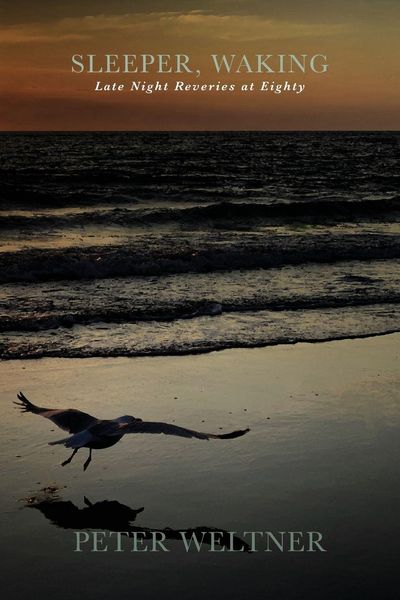 Produktbild: Sleeper, Waking / Late Night Reveries at Eighty