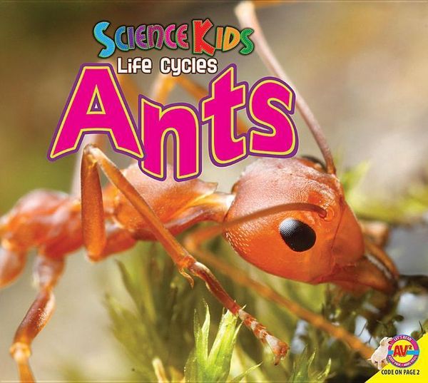 Produktbild: Ants