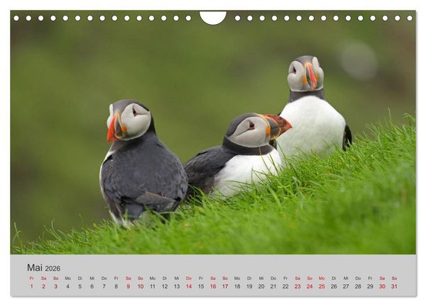 Produktbild: F&auml;r&ouml;er Inseln 2026 (Wandkalender 2026 DIN A4 quer), CALVENDO Monatskalender