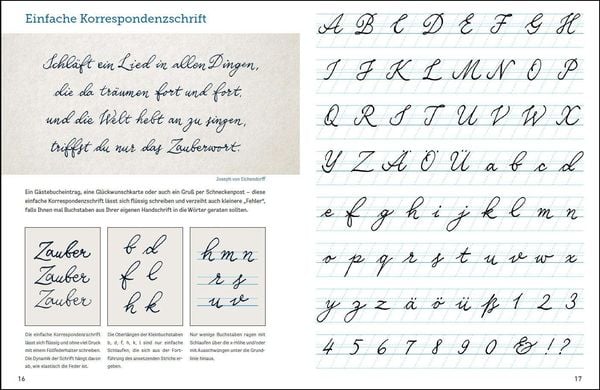 Produktbild: Kalligrafie und Lettering. Sch&ouml;n schreiben mit Feder, Stift und Pinsel.