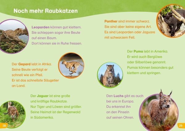 Produktbild: WAS IST WAS Erstes Lesen easy! Katzen - meine Lieblingstiere
