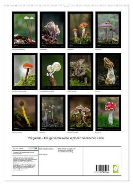 Produktbild: Pilzgalerie - Die geheimnisvolle Welt der heimischen Pilze (hochwertiger Premium Wandkalender 2026 DIN A2 hoch), Kunstdruck in Hochglanz
