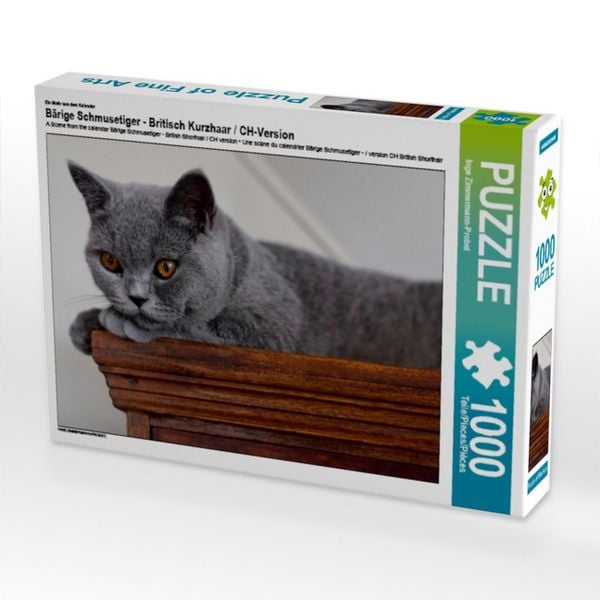 CALVENDO Puzzle Ein Motiv aus dem Kalender Bärige Schmusetiger - Britisch Kurzhaar / CH-Version | 1000 Teile Lege-Größe 64x48cm Foto-Puzzle für