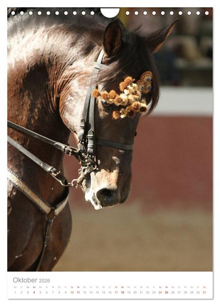 Produktbild: Caballos - Die sch&ouml;nen Pferde Spaniens (Wandkalender 2026 DIN A4 hoch), CALVENDO Monatskalender