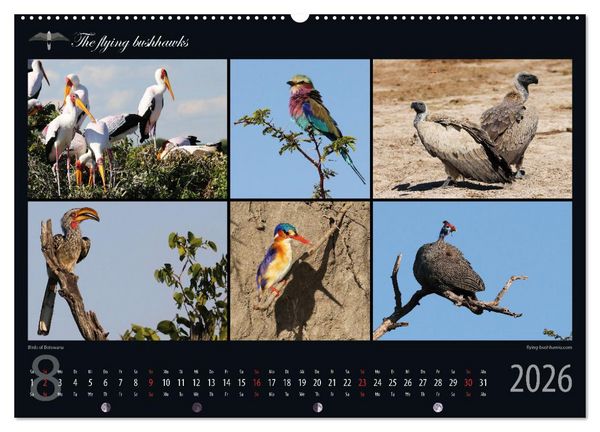 Produktbild: Botswana Blickwinkel 2026 (Wandkalender 2026 DIN A2 quer), CALVENDO Monatskalender