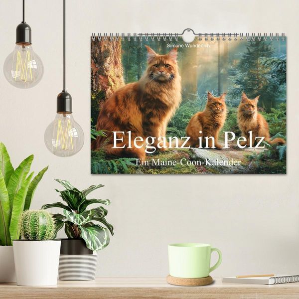 Produktbild: Eleganz in Pelz - ein Maine Coon - Kalender (Wandkalender 2027 DIN A4 quer), CALVENDO Monatskalender