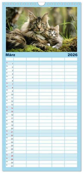 Produktbild: Familienplaner 2026 - Tierkinder des Nordens mit 5 Spalten (Wandkalender, 21 x 45 cm) CALVENDO