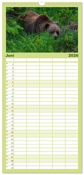 Produktbild: Familienplaner 2026 - Grizzlys und Geisterb&auml;ren - Glendale Cove, Kanada mit 5 Spalten (Wandkalender, 21 x 45 cm) CALVENDO