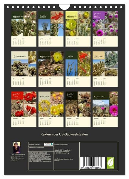 Produktbild: Kakteen der US-S&uuml;dweststaaten (Wandkalender 2026 DIN A4 hoch), CALVENDO Monatskalender